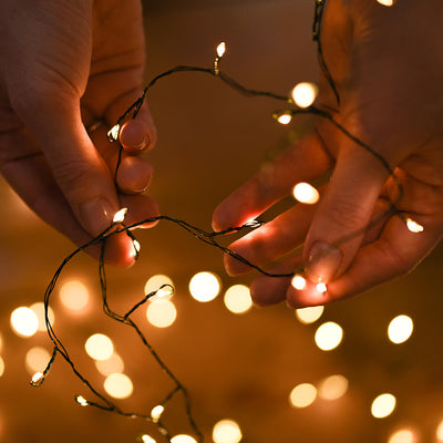 Fairy lights on twisted green wire held in two hands