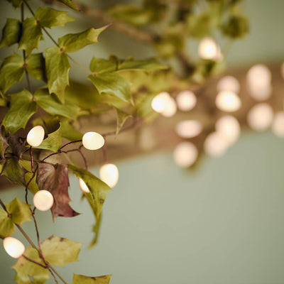 Warm White Teardrop Fairy Lights